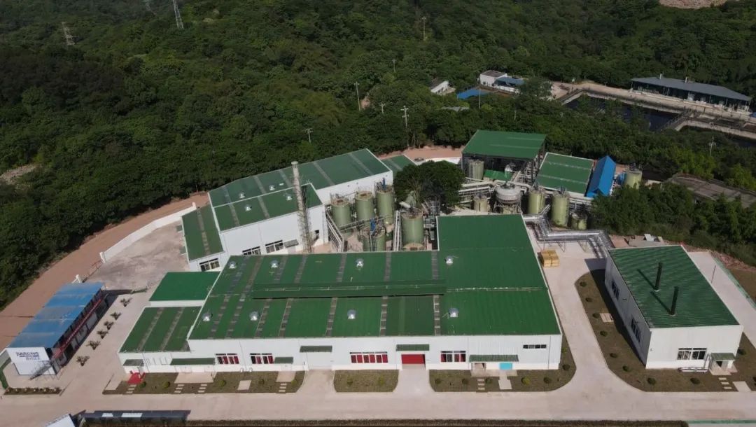 1663127459583419.jpg 1663127459583419.jpg